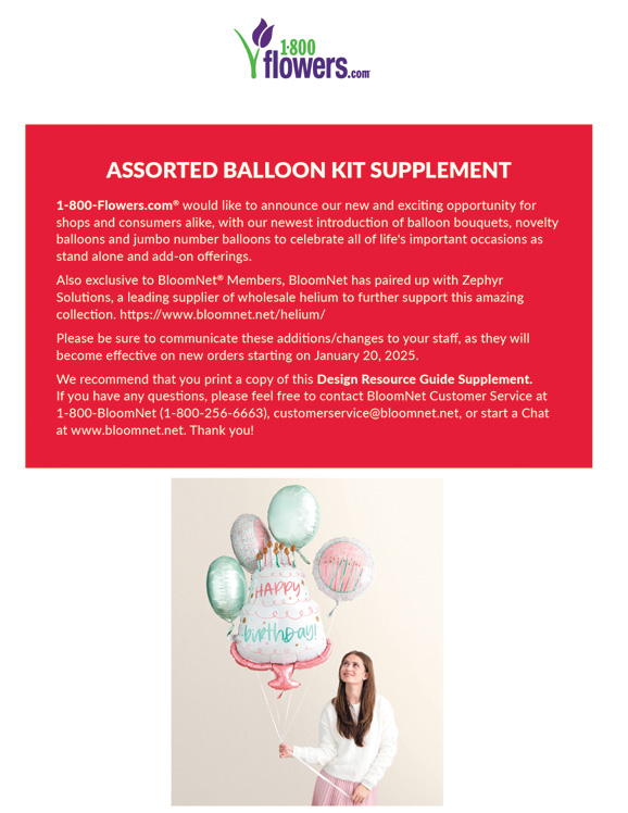 Assorted Balloon Kit Supplement